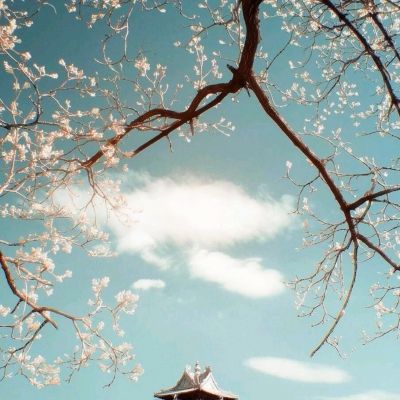 大战英雄坛bt版下载